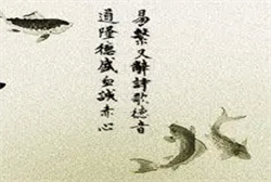 梦见一只死猫招蛆了
