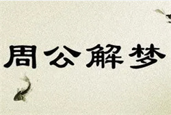 梦到自己随便拉屎
